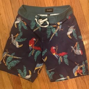 Toucan/parrot board shorts